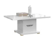 ELITE COFFEE TABLE WITH WHITE AND SILVER 120X65X46CM