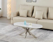 FIONA COFFE TABLE WITH WHITE MARBLE AND SILVER FEETS 120X60X45CM