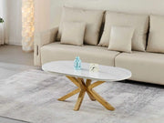 FIONA COFFE TABLE WITH WHITE MARBLE AND GOLD FEETS 120X60X45CM