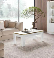 MINA COFFEE TABLE WITH BEIGE AND GOLD 110X60X45