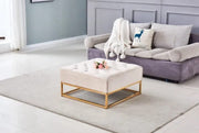 COFFEE TABLE WITH 2 DRAWERS ,BEIGE AND GOLD FINISH MEASURING 80X800X43CM