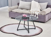 MESA DE CENTRO HELOISE CON PATAS DE METAL NEGRO Y CRISTAL TRANSPARENTE DE 80X45CM