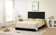 ESTRUCTURA DE CAMA POLO 160X200 CM TERCIOPELO NEGRO SIN SOMIER, COLCHÓN.
