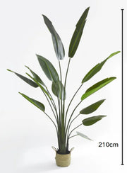 ARTIFICIAL STRELITZIA PLANT WITH POT INCLUDES MEASUIRNG 210CM