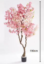 ARTIFICIAL CHERRY BLOSSOM TREE WITH PINK FLOWERS POT INCLUDED MEASURING 190CM